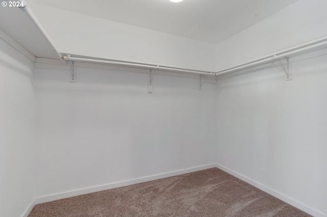 spacious closet with carpet floors