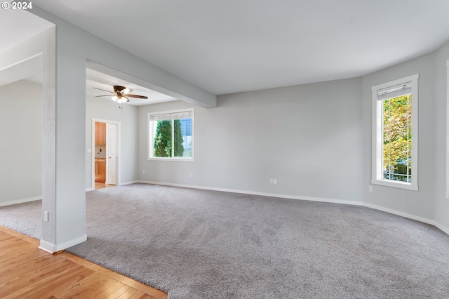 spare room featuring ceiling fan, wood-type flooring, and a wealth of natural light