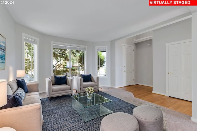 living room featuring hardwood / wood-style flooring