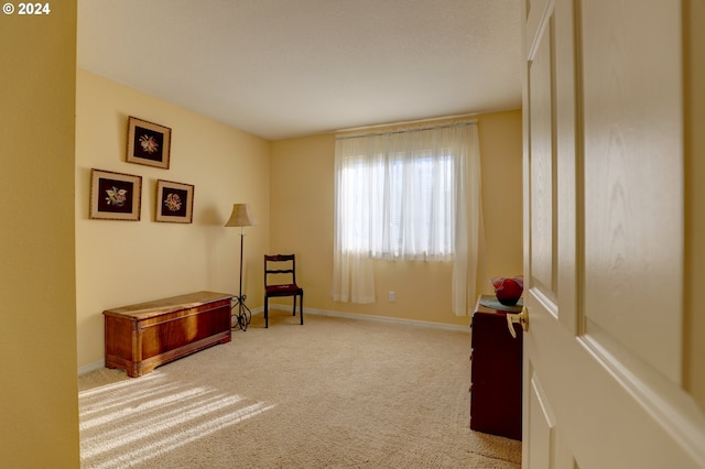 sitting room with light colored carpet