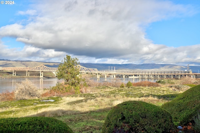 view of yard with a water and mountain view