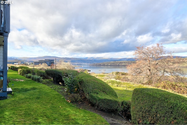 view of yard with a water and mountain view