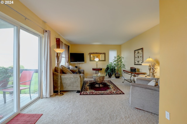 view of carpeted living room