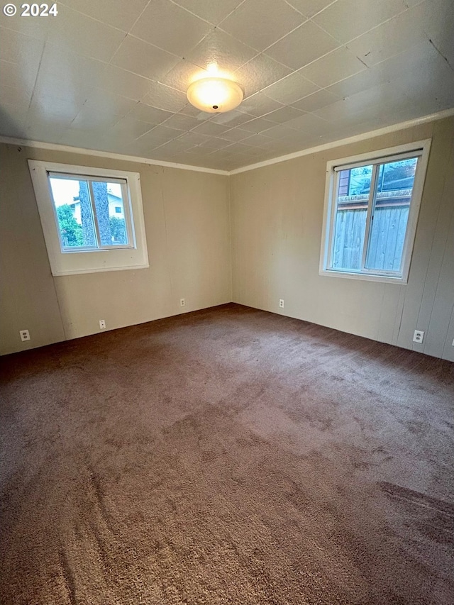 carpeted spare room featuring ornamental molding