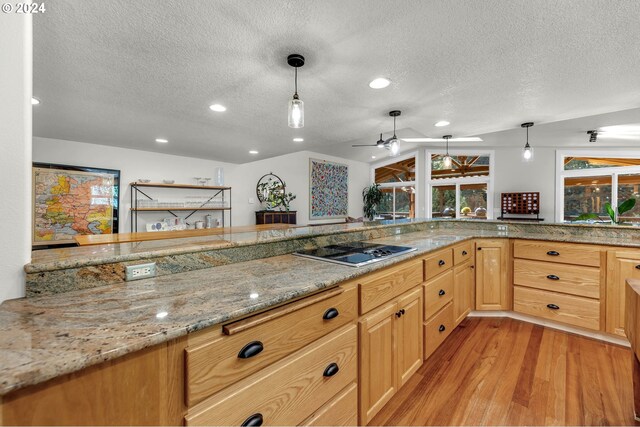 kitchen with a textured ceiling, light hardwood / wood-style flooring, ceiling fan, and stainless steel cooktop