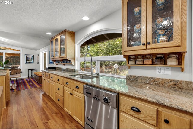 kitchen featuring light wood-type flooring, light stone counters, stainless steel dishwasher, and sink