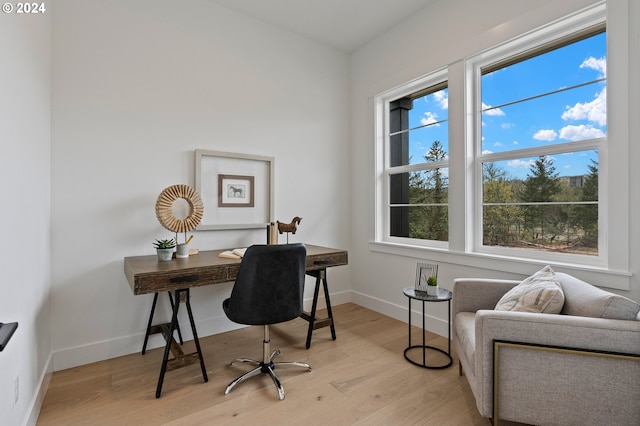 office space featuring a wealth of natural light and light hardwood / wood-style floors