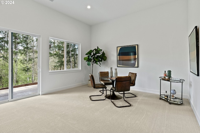 sitting room with light colored carpet