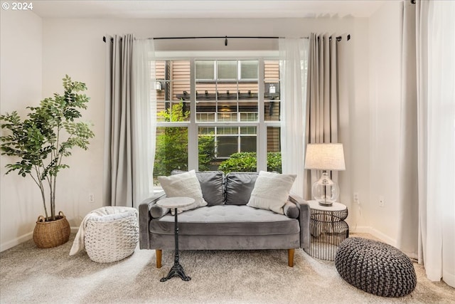 sitting room with carpet floors and baseboards