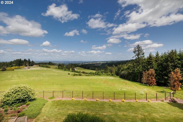 view of yard with a rural view