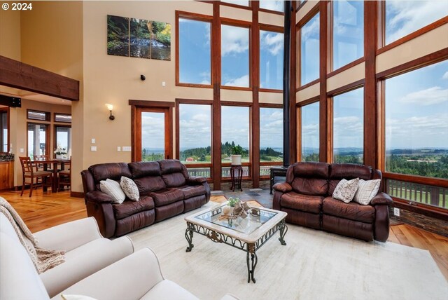 living room with hardwood / wood-style flooring and a high ceiling