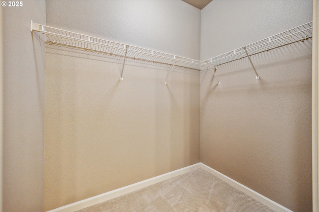 spacious closet featuring carpet floors