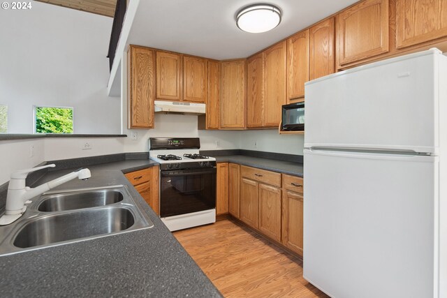 kitchen featuring light hardwood / wood-style flooring, white appliances, and sink