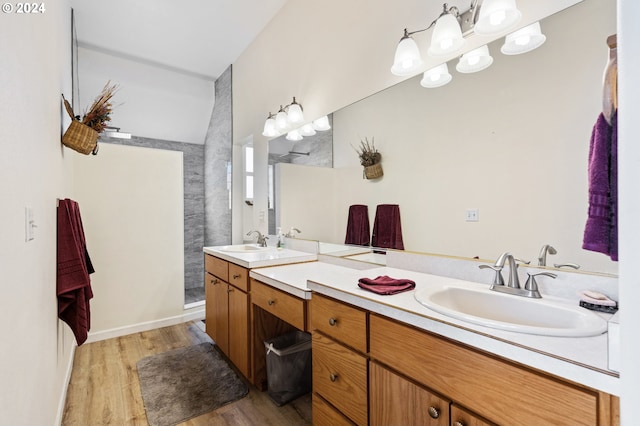 bathroom with a shower, vanity, and hardwood / wood-style flooring