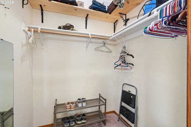 spacious closet with heating unit and carpet flooring