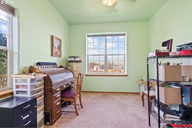 home office with light carpet and plenty of natural light