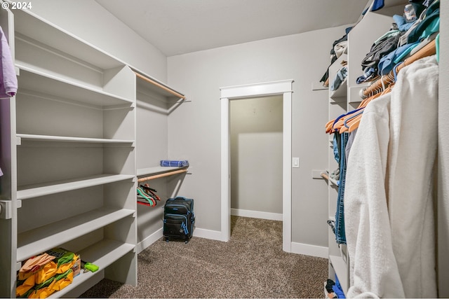 walk in closet with carpet flooring