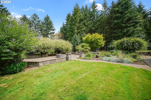 view of yard with a patio