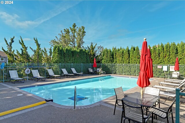 view of pool featuring a patio area