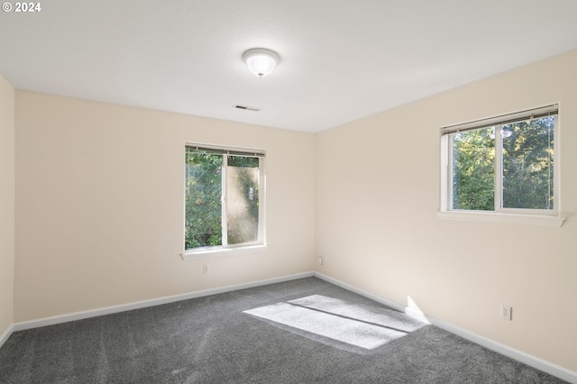 carpeted spare room featuring a wealth of natural light