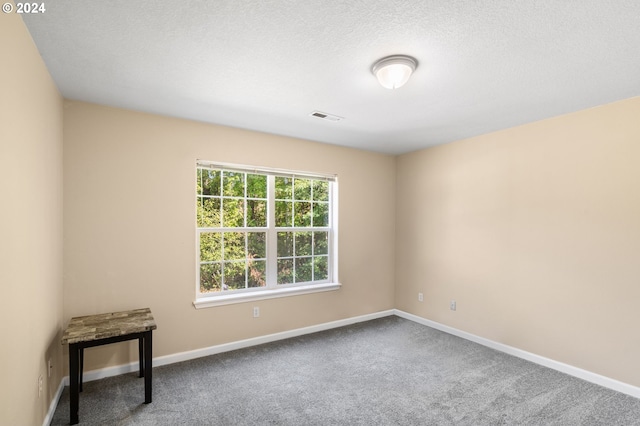 carpeted spare room with a textured ceiling