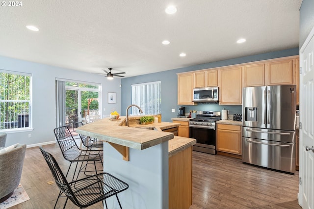 kitchen with dark hardwood / wood-style floors, a kitchen island with sink, sink, and stainless steel appliances