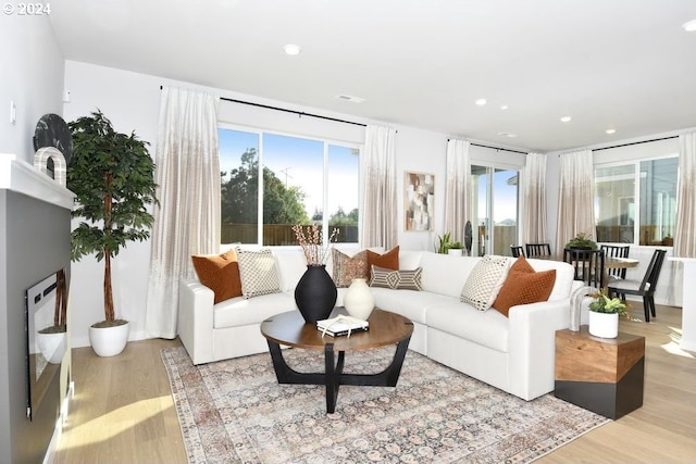 living room with plenty of natural light and light hardwood / wood-style floors