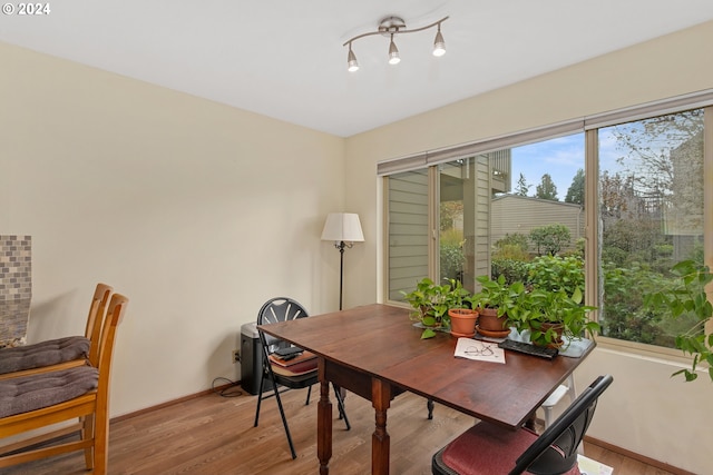 dining area with light hardwood / wood-style floors