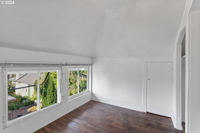 interior space featuring vaulted ceiling and dark wood-type flooring