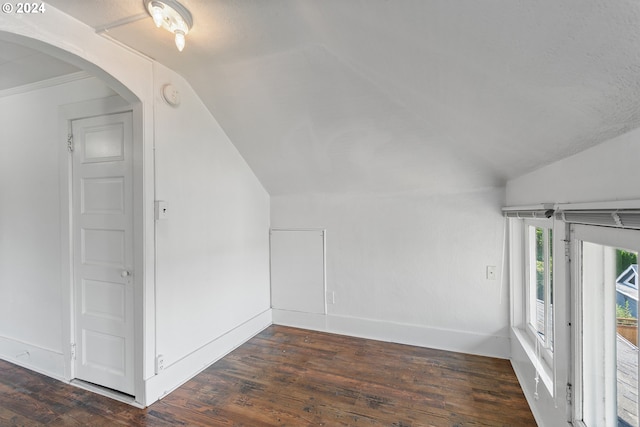 additional living space featuring wood-type flooring and lofted ceiling