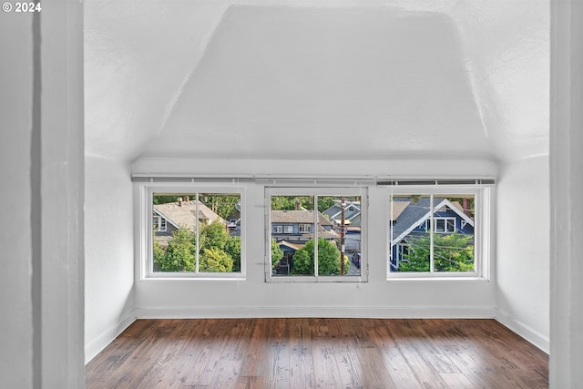 empty room with vaulted ceiling, plenty of natural light, and dark wood-type flooring