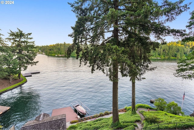 view of water feature featuring a dock