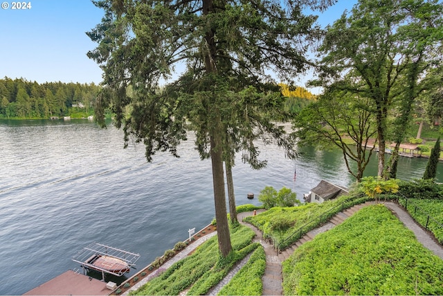 property view of water featuring a dock