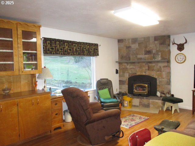 living room with dark hardwood / wood-style floors and a fireplace