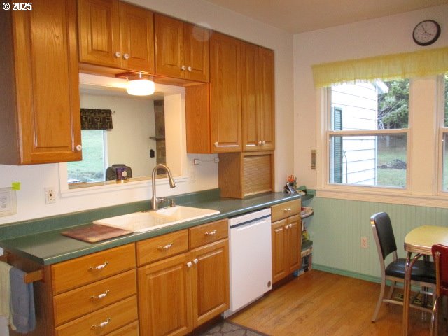 kitchen with sink, hardwood / wood-style floors, and white dishwasher