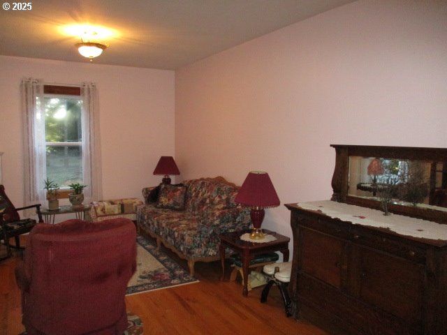 living room featuring wood-type flooring