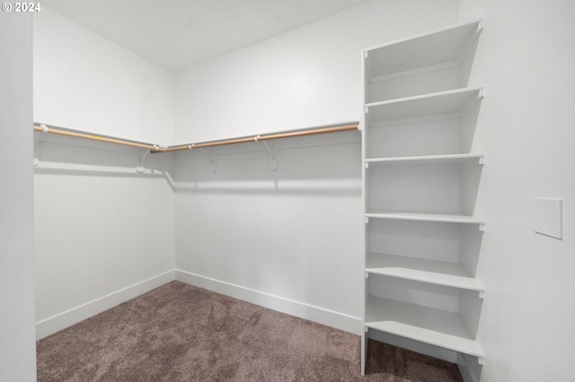 walk in closet with carpet floors