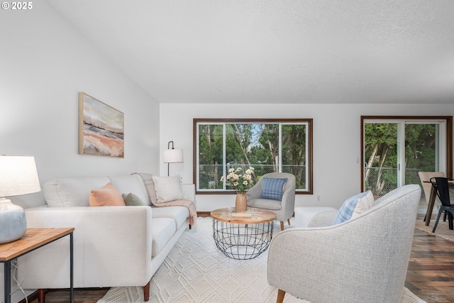 living area with a textured ceiling, lofted ceiling, and wood finished floors