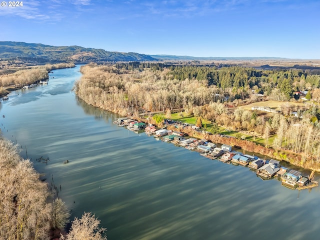 drone / aerial view with a water and mountain view