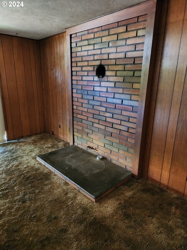 interior details with a textured ceiling and wood walls