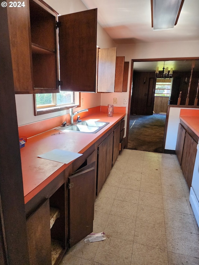 kitchen with light colored carpet, dark brown cabinets, and sink