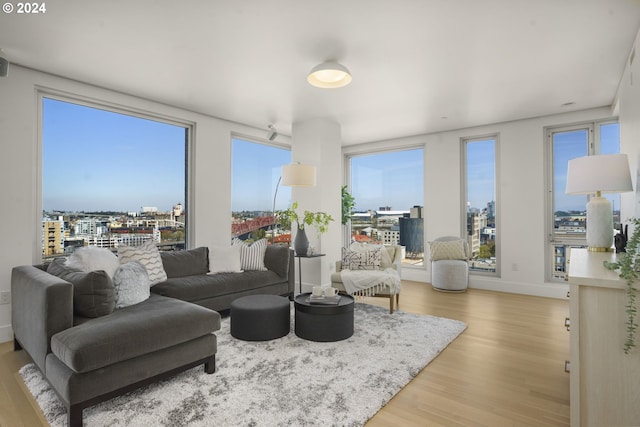 living room with light hardwood / wood-style floors