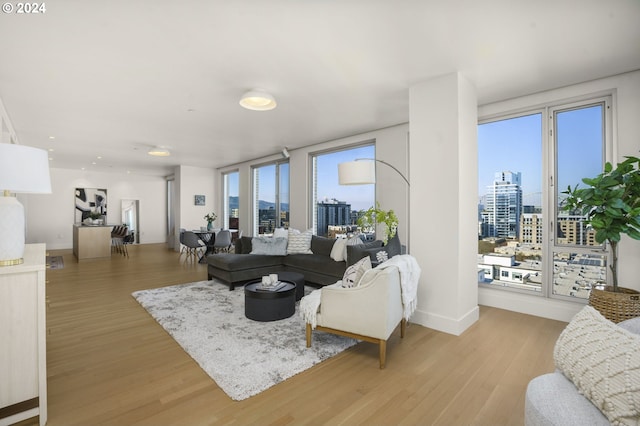 living room with light hardwood / wood-style flooring