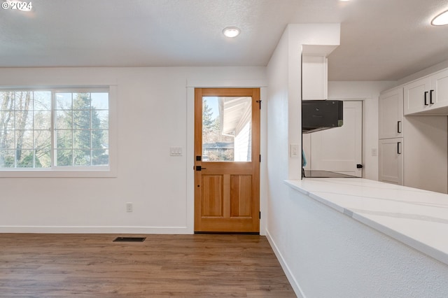 entryway featuring a textured ceiling, light wood-type flooring, and a wealth of natural light