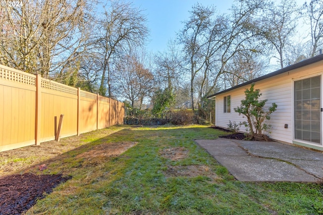 view of yard featuring a patio