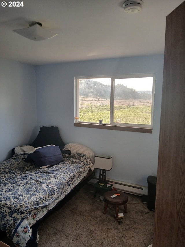 bedroom with carpet flooring and a baseboard heating unit