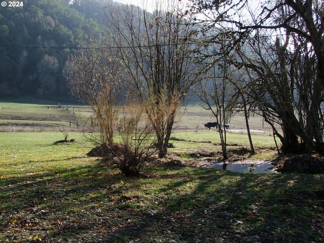 view of yard featuring a rural view