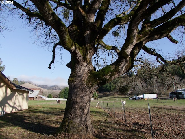 view of yard featuring a rural view