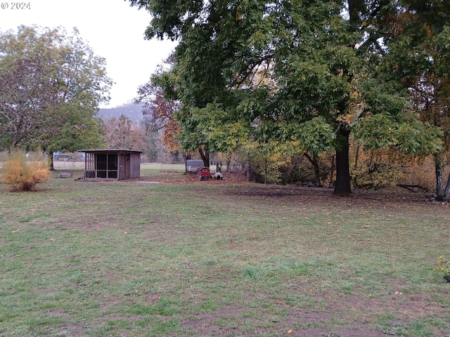 view of yard with an outbuilding