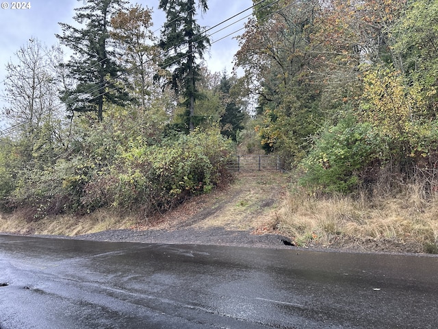 105 Lane Rd, Woodland WA, 98674 land for sale